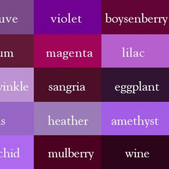 Clothing || Ties & Scarves - Picture 12 of 14